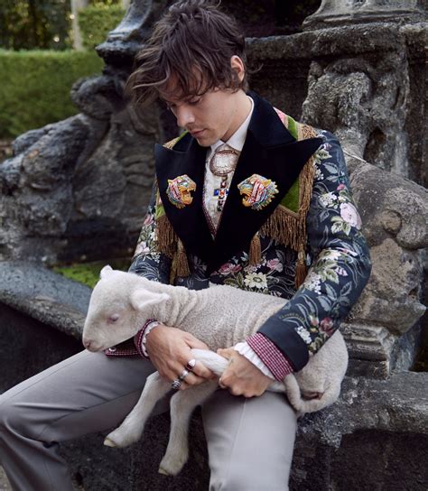 harry styles gucci 2017|Gucci Harry Styles collection.